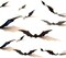 3D Halloween Bat Wall Decor Set, 28PCS Black PVC Bat Wall Stickers, DIY Scary Flying Bats Decorations for Walls, Windows, Doors & Party Backdrops, Reusable Halloween Home Decor